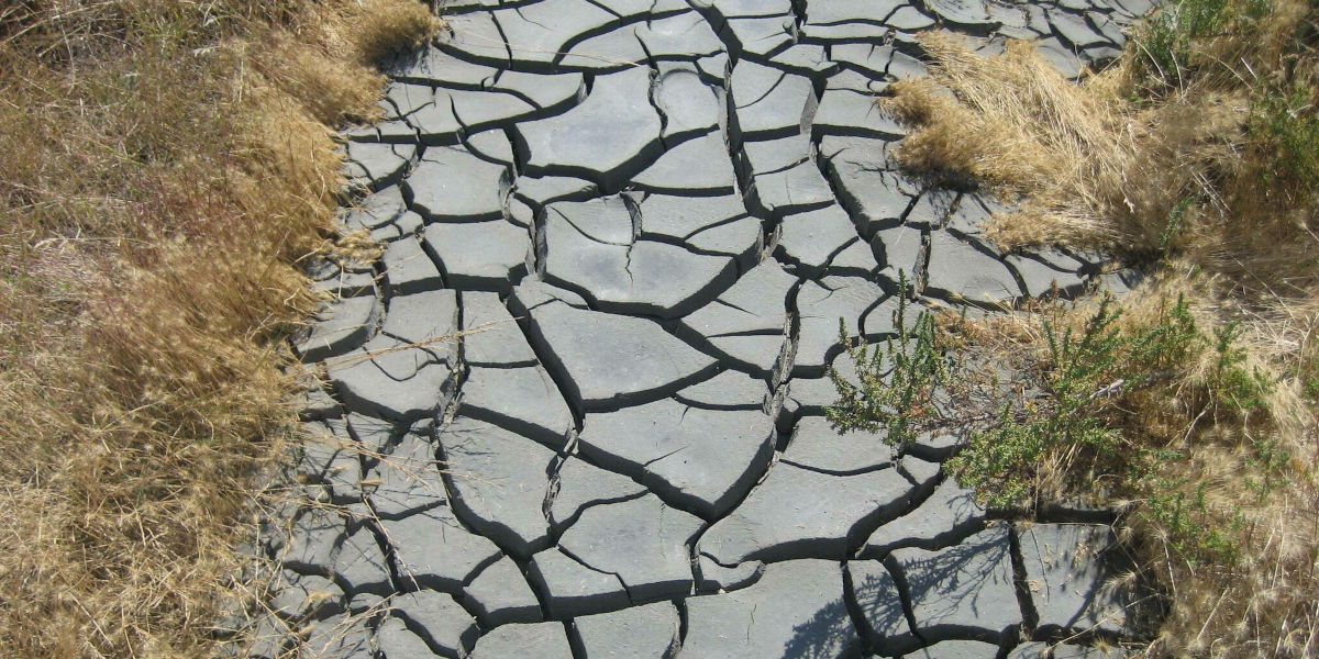 [titre à réécrire] Quels sont les critères amenant à déclarer l'état de sécheresse ?